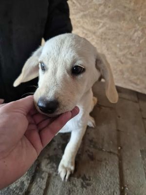 557189740 1132640238362169 6922429257116739091 n