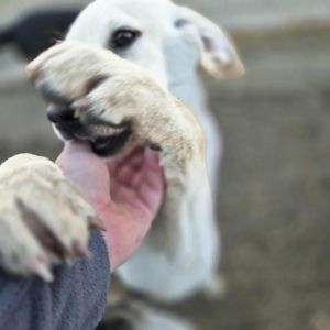 557262600 1207334261300856 8919438446049089060 n