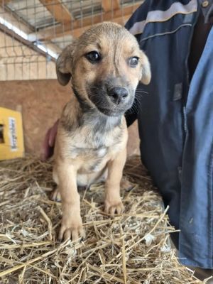 557345293 841446182082541 5821561811141309842 n