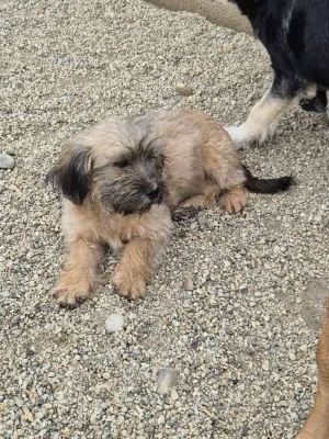 557605049 1090659339558591 6882216836565856721 n