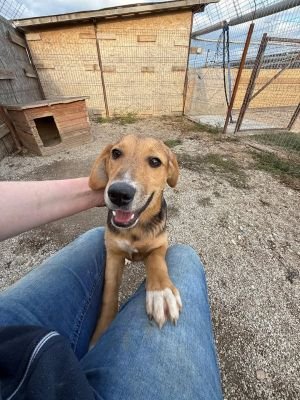 558899669 24897751959865396 7505463612014953307 n