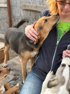 561296174 24897752236532035 1192346168001163542 n