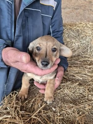 564599313 4382418735327837 3833922447316820935 n