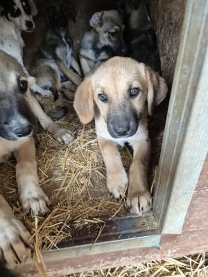 566339069 1123097073280464 3049610975093112004 n