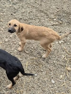 566349293 2331302257336636 7647760348053191917 n