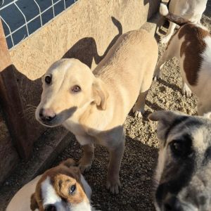 566370509 1739886350044346 4324677598007208508 n