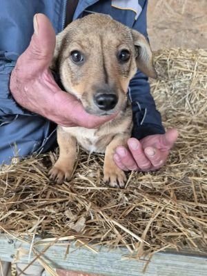 566386838 4325463414348896 3762707837073572906 n