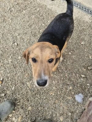 566427649 1536555147790282 1757112276716487041 n