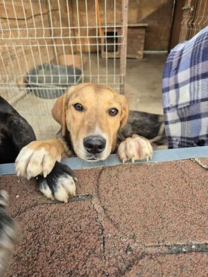 566451970 1198885925386255 5877949429939894489 n