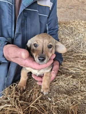 566516470 1266094532229419 4560816701961247961 n