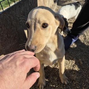 566538899 836784475707174 3368626763015174463 n