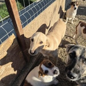 566548208 1146784987127521 8305255825985720287 n