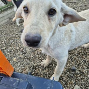 566577552 1168685691892955 686082167790439189 n