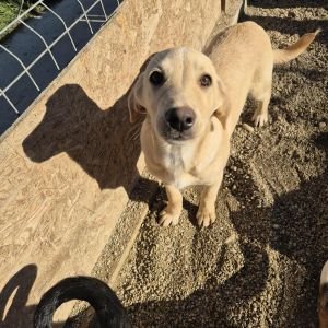 566577552 854606440329342 5763004761951721327 n