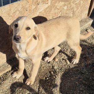 566609057 1497974531411750 8617396633339294621 n