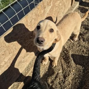 566625796 1349858796693371 5747998768563330626 n