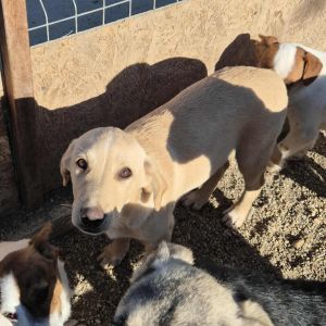 566634879 1321536879180811 5542901268505043599 n