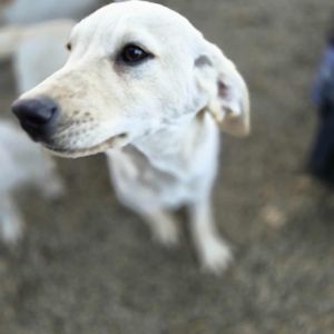 566642512 3163382230495561 7514907546377235423 n