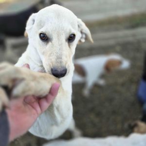 566645204 3368993033276701 4441627147873466105 n