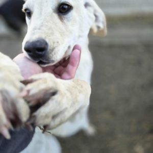 566673091 1507868080259329 5446322323069076357 n