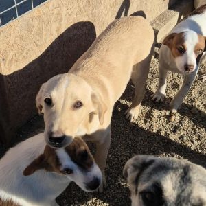 567116686 1385422842976680 9209344063345465265 n