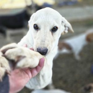 567615164 808183845162572 729781977786964509 n