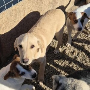 569871279 1251839160296148 2212275871415119419 n