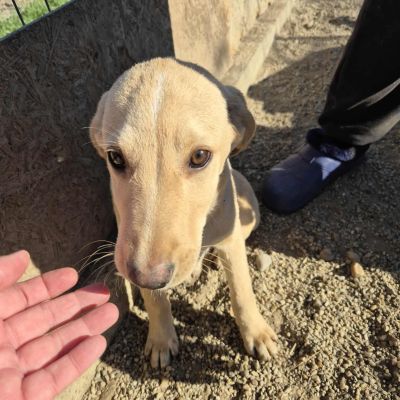 575310292 835505865604133 580785691318241187 n