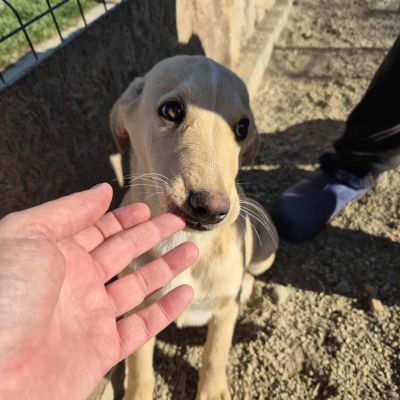 575433195 1358956492263474 6883173773862575147 n