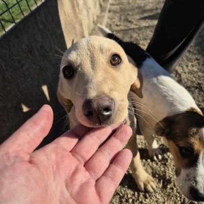 575514959 2094225574725504 4136609557521229520 n