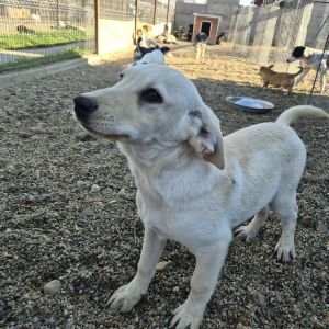 575619907 1380408613489468 1756380523780368811 n