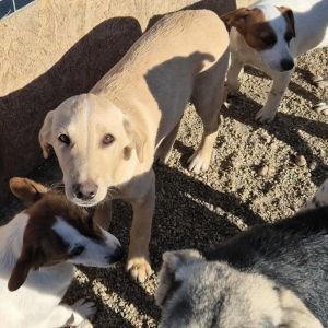 575641975 1559058431767673 1546282378761622103 n