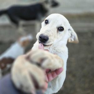 575658214 828825199752331 7666679624261473602 n