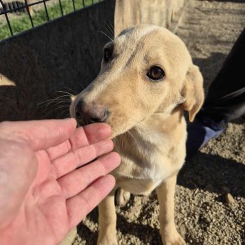 575667814 711834318020310 5282410392329668073 n