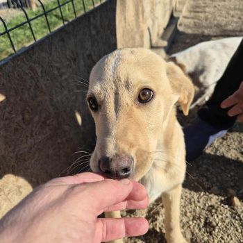 576174359 1863355244601195 1379934007389888120 n