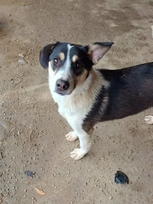 599316204 1580571293072512 2538972301507098950 n