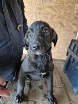 Elisca (BV) Elisca (BV)