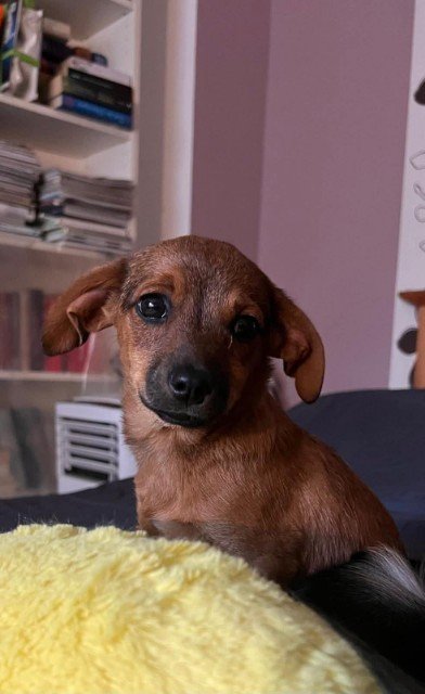 FB IMG 1763326198865 copy 392x640