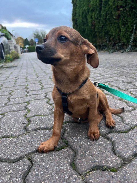 FB IMG 1763326206891 copy 480x640