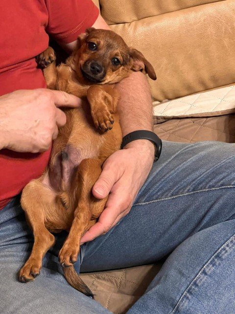 FB IMG 1763326210965 copy 480x640