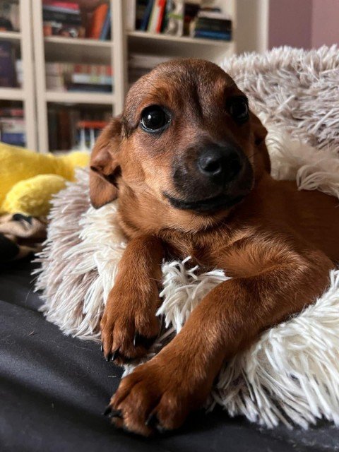 FB IMG 1763326213610 copy 480x640