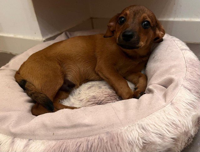 FB IMG 1763326228758 copy 640x487