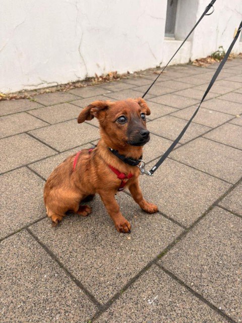 FB IMG 1763326652709 copy 480x640