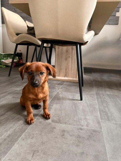 FB IMG 1763326659096 copy 480x640