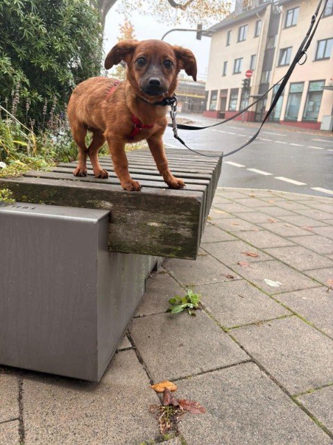 FB IMG 1763326665480 copy 480x640