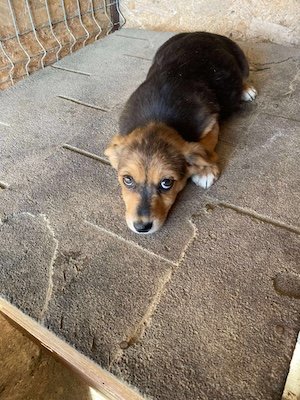 Jessa (BV) Jessa (BV)