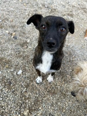 Whatsapp bild 2025 09 07 um 11.06.07 86526e8c