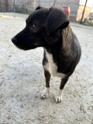 Whatsapp bild 2025 09 07 um 11.06.12 0f1a0185