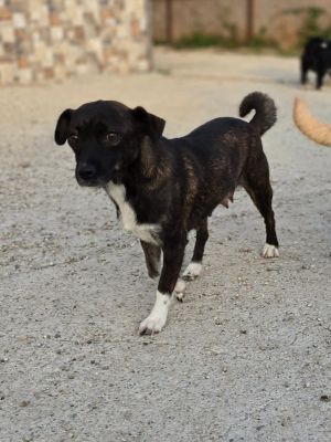 Whatsapp bild 2025 09 07 um 11.06.58 a9381c1d