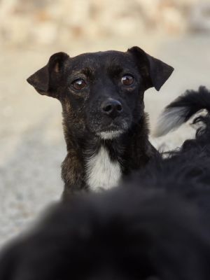 Whatsapp bild 2025 09 07 um 11.06.59 1e296d23